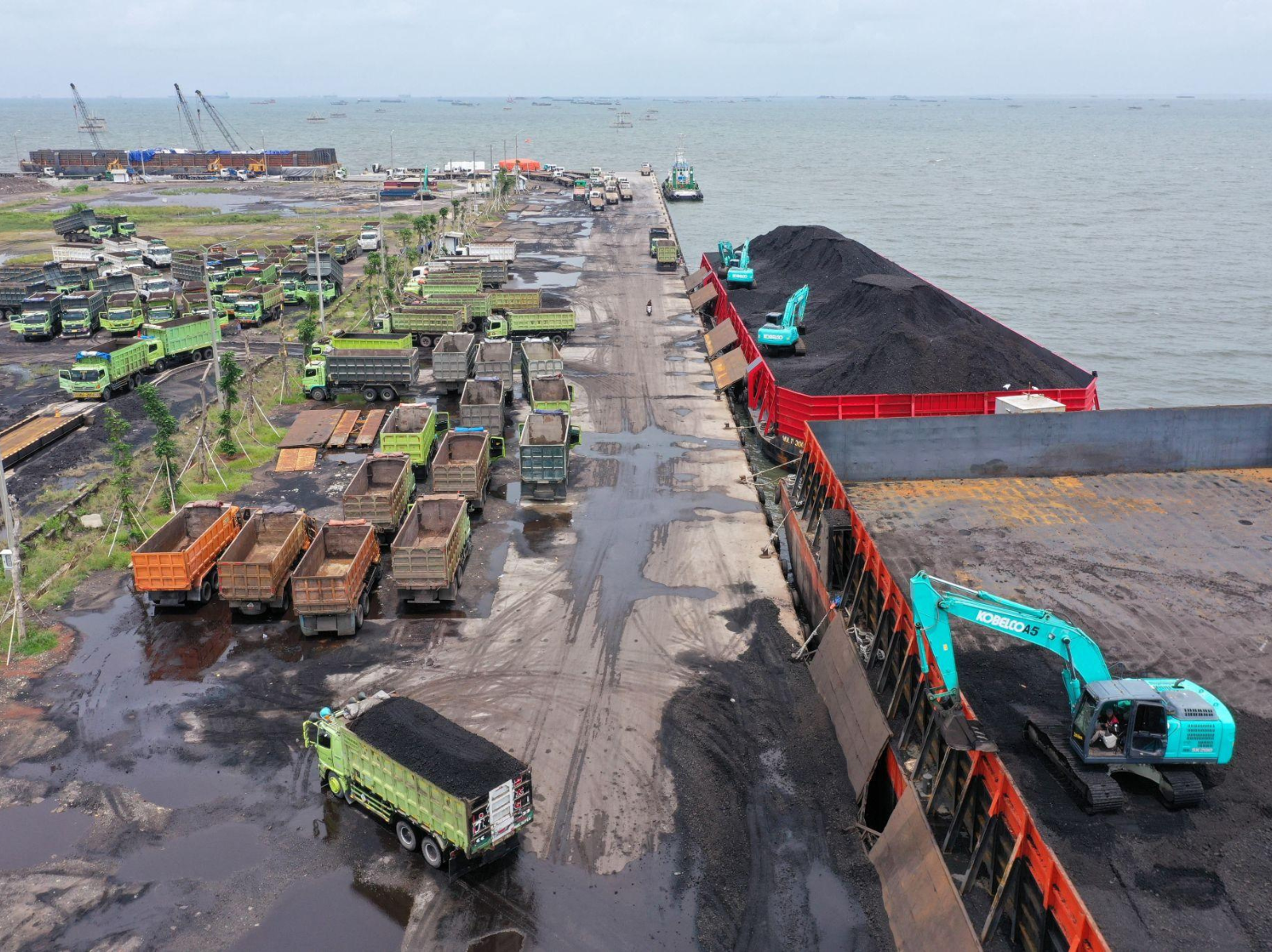 Steam Coal for Power Plants
